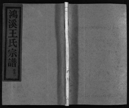 浙江王氏族谱-鸿溪王氏宗谱 [11卷,首5卷].pdf电子版预览图1