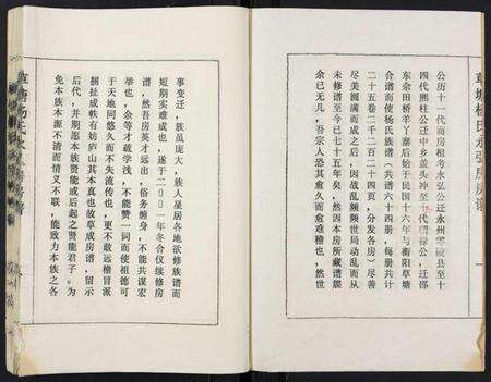 湖南杨氏族谱-草塘杨氏永弘房房谱.pdf电子版预览图2