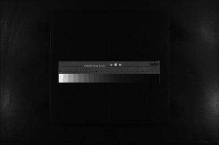 浙江连氏族谱-鹤峯连氏宗谱 [不分卷].pdf电子版缩略图