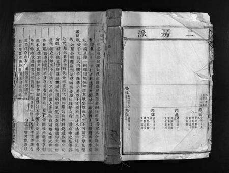 浙江连氏族谱-鹤峯连氏宗谱 [不分卷].pdf电子版预览图1