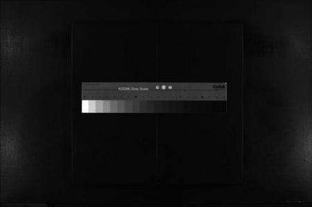 浙江陈氏族谱-鹤峯陈氏族谱 [不分卷].pdf电子版缩略图