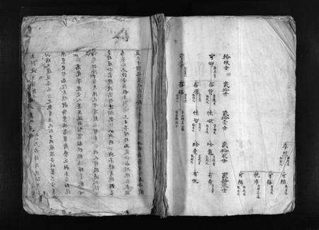 浙江陈氏族谱-鹤峯陈氏族谱 [不分卷].pdf电子版预览图1