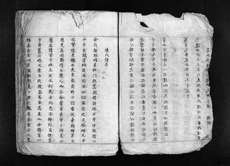 浙江陈氏族谱-鹤峯陈氏族谱 [不分卷].pdf电子版预览图5