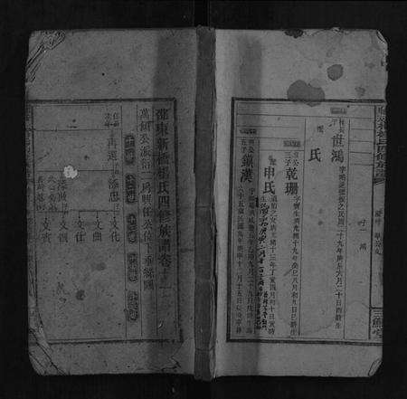 湖南杨氏族谱-邵东新桥杨氏四修族谱.pdf电子版缩略图