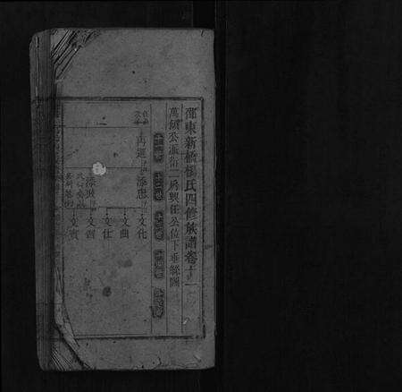 湖南杨氏族谱-邵东新桥杨氏四修族谱.pdf电子版预览图1