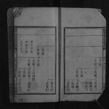 湖南杨氏族谱-邵东新桥杨氏四修族谱.pdf电子版预览图2