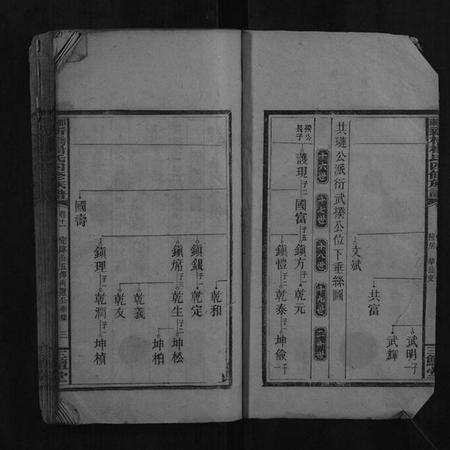 湖南杨氏族谱-邵东新桥杨氏四修族谱.pdf电子版预览图3