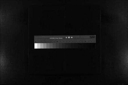 浙江贾氏族谱-鹿岩贾氏宗谱 [不分卷].pdf电子版缩略图