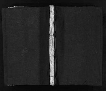 浙江贾氏族谱-鹿岩贾氏宗谱 [不分卷].pdf电子版预览图1