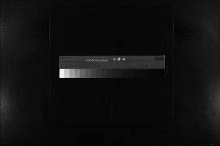 浙江贾氏族谱-鹿岩贾氏宗谱 [不分卷].pdf电子版缩略图