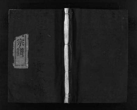 浙江贾氏族谱-鹿岩贾氏宗谱 [不分卷].pdf电子版预览图1