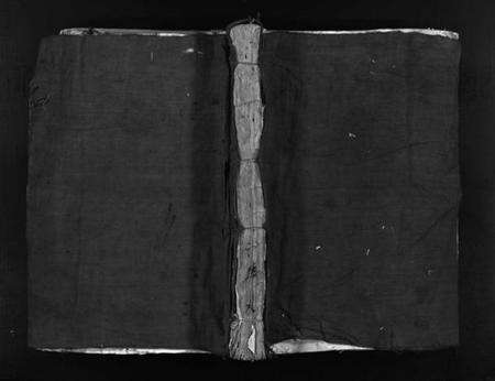 浙江贾氏族谱-鹿岩贾氏宗谱 [残卷].pdf电子版预览图1