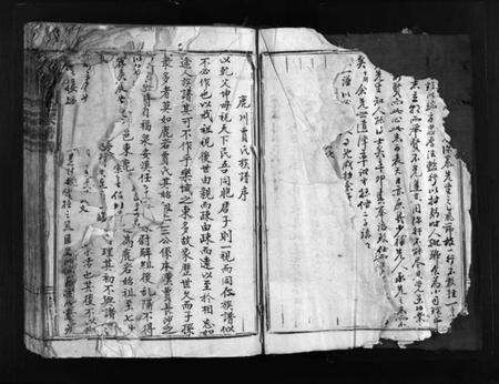 浙江贾氏族谱-鹿岩贾氏宗谱 [残卷].pdf电子版预览图5