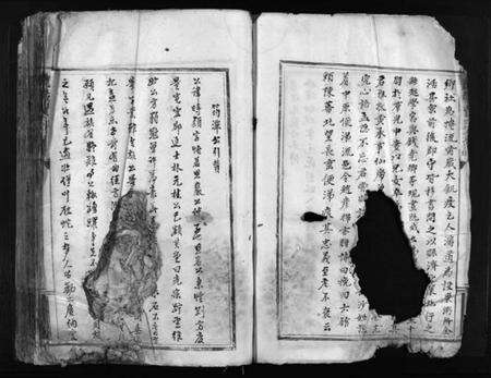 浙江贾氏族谱-鹿岩贾氏宗谱 [残卷].pdf电子版预览图5