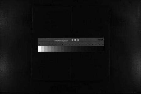 浙江贾氏族谱-鹿川贾氏宗谱 [残卷].pdf电子版缩略图