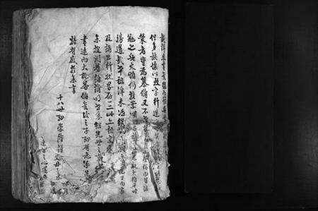 浙江贾氏族谱-鹿川贾氏宗谱 [残卷].pdf电子版预览图2