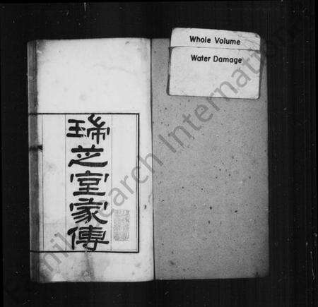 湖南杨氏族谱-瑞芝室家传.pdf电子版预览图2