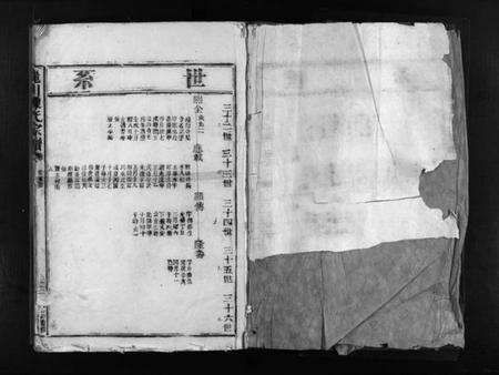 浙江陈氏族谱-丽川陈氏宗谱 [残卷].pdf电子版预览图2