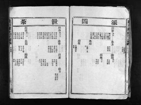 浙江陈氏族谱-丽川陈氏宗谱 [残卷].pdf电子版预览图4
