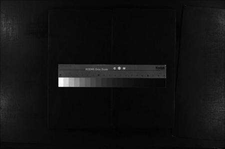 浙江郑氏族谱-麻园郑氏五房宗谱 [10卷].pdf电子版缩略图