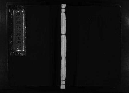 浙江郑氏族谱-麻园郑氏五房宗谱 [10卷].pdf电子版预览图3