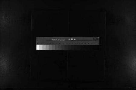 浙江周氏族谱-黄塘周氏宗谱 [不分卷].pdf电子版缩略图