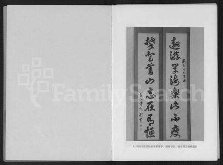 中国林氏族谱-比干后裔.pdf电子版预览图2