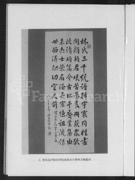 中国林氏族谱-比干后裔.pdf电子版预览图4