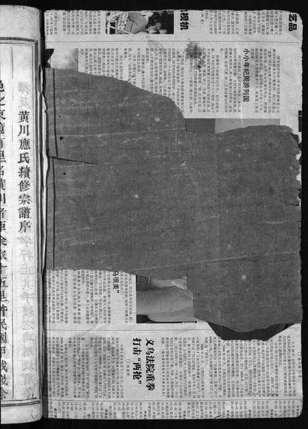 浙江应氏族谱-黄川应氏宗谱 [12卷].pdf电子版预览图2