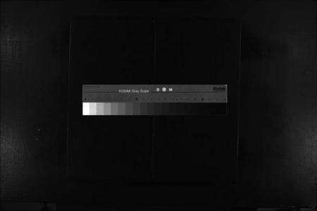 浙江黄氏族谱-黄氏宗谱 [不分卷].pdf电子版缩略图