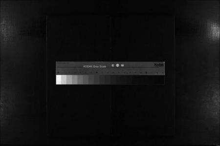 浙江郑氏族谱-黄犊大房象山郑氏房谱 [不分卷].pdf电子版缩略图