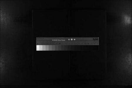 浙江郑氏族谱-黄犊大房郑氏房谱 [不分卷].pdf电子版缩略图