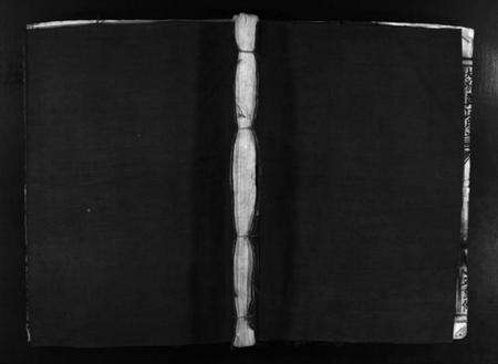 浙江郑氏族谱-黄犊大房郑氏房谱 [不分卷].pdf电子版预览图1