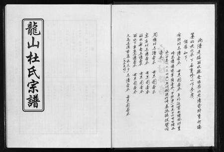 浙江杜氏族谱-龙山杜氏宗谱 [不分卷].pdf电子版预览图3