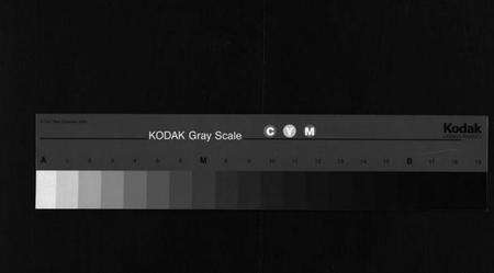 浙江胡氏族谱-龙山胡氏总祠祔主录 [残卷].pdf电子版缩略图