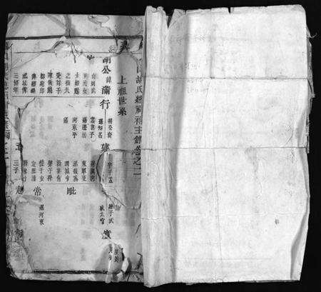 浙江胡氏族谱-龙山胡氏总祠祔主录 [残卷].pdf电子版预览图1