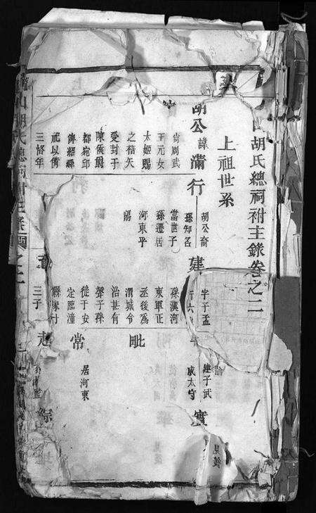 浙江胡氏族谱-龙山胡氏总祠祔主录 [残卷].pdf电子版预览图2