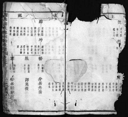 浙江胡氏族谱-龙山胡氏总祠祔主录 [残卷].pdf电子版预览图4