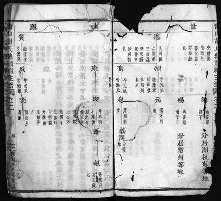 浙江胡氏族谱-龙山胡氏总祠祔主录 [残卷].pdf电子版预览图5