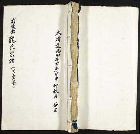 江西龙氏族谱-武陵堂龙氏宗谱.pdf电子版缩略图