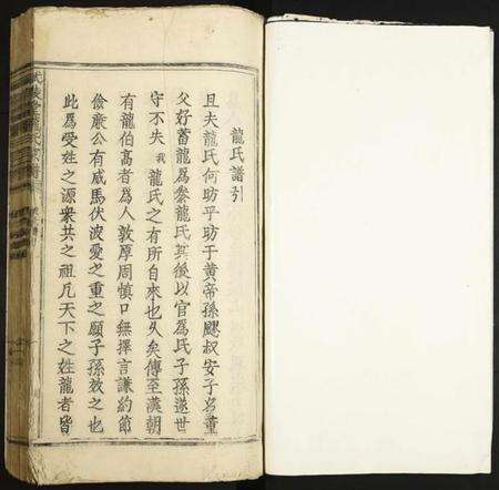 江西龙氏族谱-武陵堂龙氏宗谱.pdf电子版预览图1