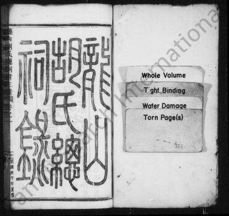 浙江胡氏族谱-龙山胡氏总祠录 [4卷].pdf电子版预览图2