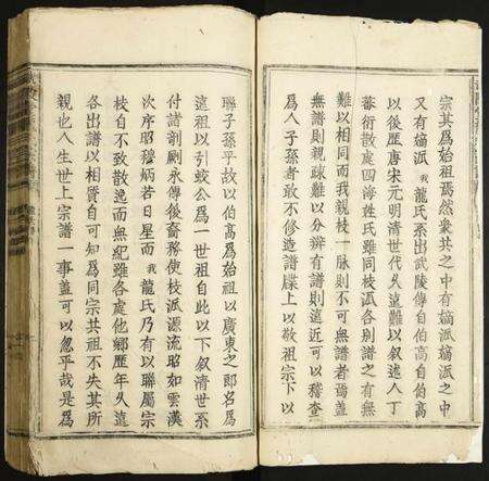 江西龙氏族谱-武陵堂龙氏宗谱.pdf电子版预览图2