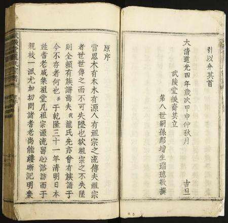 江西龙氏族谱-武陵堂龙氏宗谱.pdf电子版预览图3