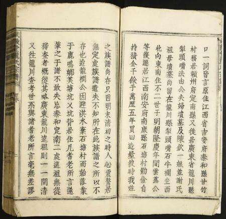 江西龙氏族谱-武陵堂龙氏宗谱.pdf电子版预览图4