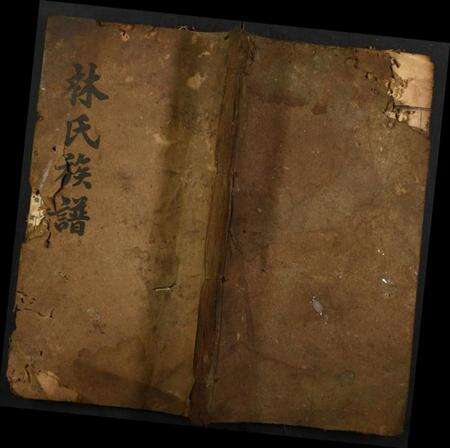 湖北林氏族谱-林氏族谱.pdf电子版缩略图