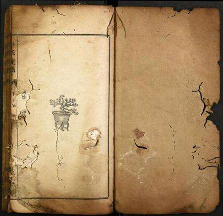 湖北林氏族谱-林氏族谱.pdf电子版预览图1