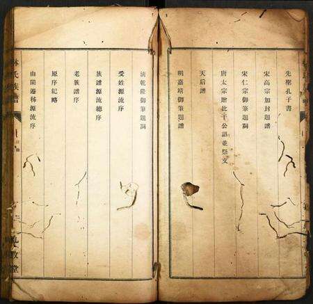 湖北林氏族谱-林氏族谱.pdf电子版预览图5