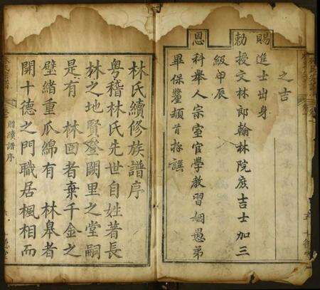 湖北林氏族谱-林氏族谱.pdf电子版预览图3