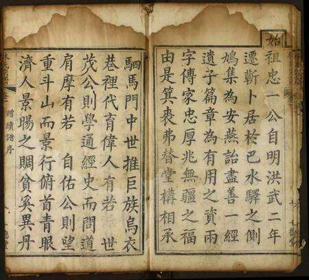 湖北林氏族谱-林氏族谱.pdf电子版预览图5